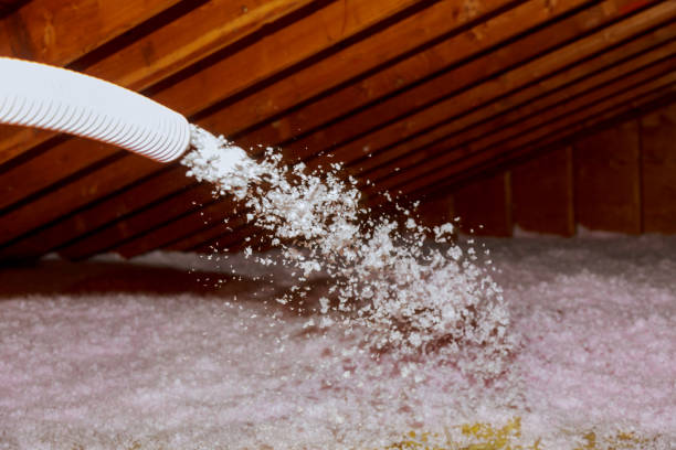 Best Insulation Installation Services in Cerro Gordo, IL