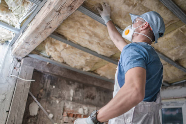 Best Types of Insulation in Cerro Gordo, IL