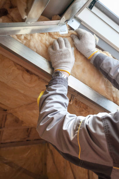 Best Insulation Maintenance and Repair in Cerro Gordo, IL